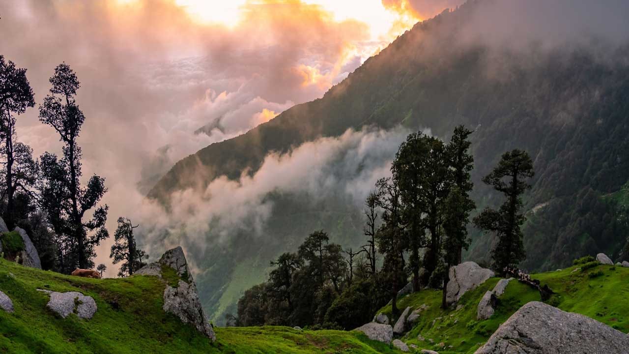 వల్పరై, తమిళనాడు :అనామలై కొండలలో దాగి ఉన్న వల్పరై, టీ ప్రియులకు, వన్యప్రాణులను ఇష్టపడే వారికి ఒక బెస్ట్ ప్లేస్ అని చెప్పవచ్చు. టీ యొక్క ఆకుపచ్చ తివాచీలు, పొగమంచుతో కూడిన రోడ్లు,  రోడ్ ట్రిప్స్ తో ఈ హిల్ స్టేషన్ పర్యాటకులకు బెస్ట్ మెమోరీగా మారిపోతుంది.