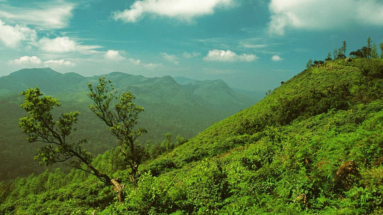 తేన్మల కేరళ : భారతదేశంలో పచ్చని అడవులు, తాడు వంతెలనలు, బూటింగ్, సీతాకోక చిలుకల పార్క్ , జింకల పార్క్, చెట్టుపై గుడిసెల నుంచి సంగీత ఫౌంటెన్లు ఇలా ఎన్నో ఉన్న తేన్మల హిల్ స్టేషన్ పర్యాటకులను ఆకర్షిస్తుంటుంది. చూడటానికి చాలా అందంగా ఉంటుందంట.