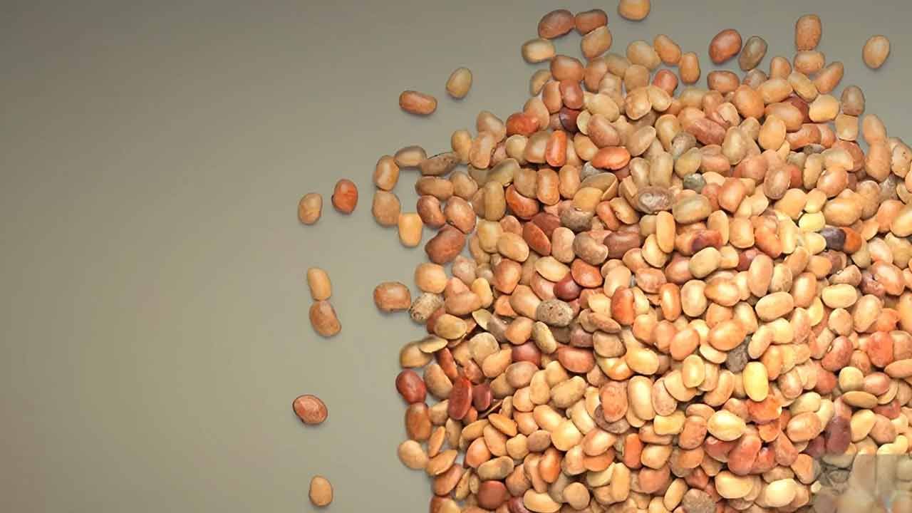 తరచూ ఎక్కిళ్లు వస్తుంటే ఉలవలు తినడం చాలా మంచిది. ఉలవలు తీసుకోవడం ద్వారా ఎక్కిళ్ల సమస్య నుంచి తక్షణ ఉపశమనం పొందవచ్చు. జ్వరం, ఆయాసం, దగ్గు వంటి సమస్యలతో బాధపడేవారు ఉలవల కషాయం తాగడం ఎంతో మేలు. ఈ కషాయం జ్వరం, దగ్గు వంటి సమస్యల నుంచి తక్షణ ఉపశమనం అందిస్తుంది.