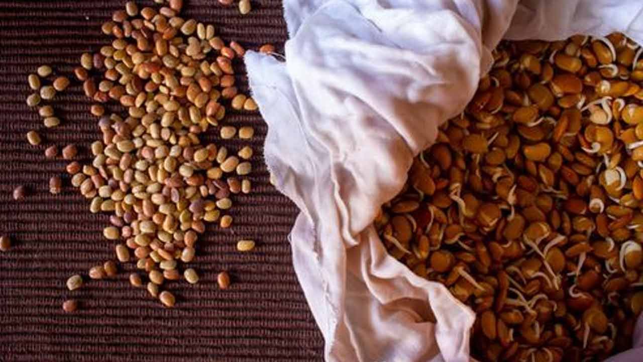 మూత్ర సంబంధ సమస్యలు నివారించడంలో ఉలవలు సహాయపడతాయి. దీనికోసం ఓ కప్పు ఉలవ చారుకు సమానంగా కొబ్బరి నీళ్లు తీసుకుంటే మూత్రంలో మంట తగ్గుతుంది. తరచూ మూత్రంలో మంటతో బాధపడేవారు ఈ చిట్కా పాటించండి.