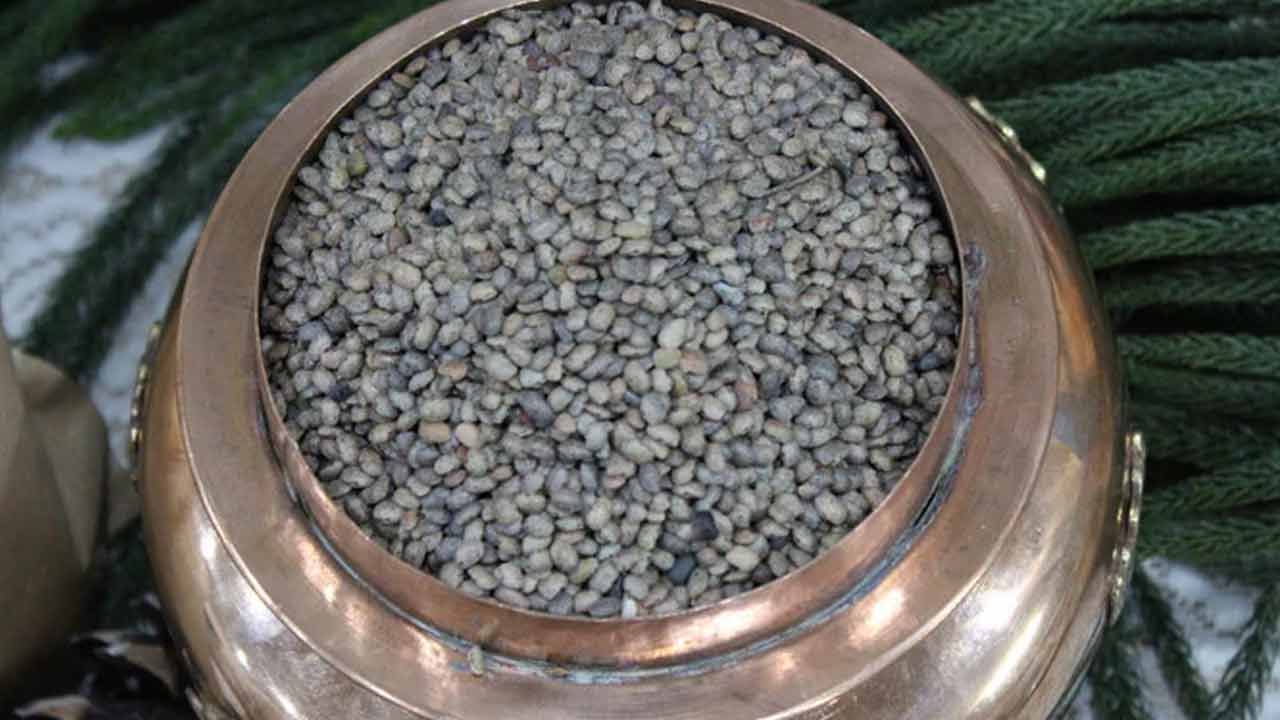 పిల్లల ఎదుగుదలకు ఉలవలు ఎంతో మేలు చేస్తాయి. ఇవి పిల్లల శారీరక, మానసిక ఆరోగ్యానికి సహాయపడతాయి. వారికి బలాన్ని ఇస్తాయి. అనారోగ్య సమస్యలు రాకుండా కాపాడతాయి. ఉలవలు శరీరంలో పేరుకుపోయిన కఫాన్ని తగ్గిస్తాయి. చర్మ సమస్యల నివారణలో, కీళ్ళ నొప్పుల నివారణలో బాగా పని చేస్తాయి.