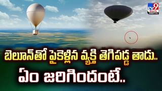 దొంగలకు కూడా లక్షల్లో వేతనం.. వారు చేసే పని తెలిస్తే మైండ్‌ బ్లాంక్‌