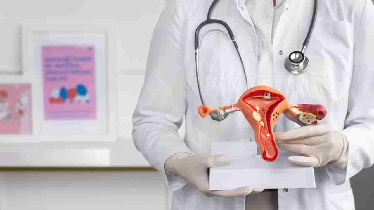 ఇక అతి తక్కువ ఖర్చుతో గర్భాశయ క్యాన్సర్‌ నిర్ధారణ! రెండు మేడ్‌ ఇన్‌ ఇండియా HPV టెస్ట్‌ కిట్లు వచ్చేశాయ్‌