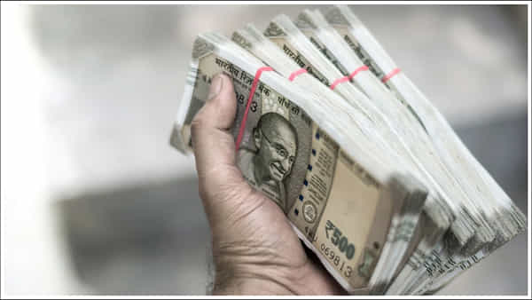 Business Ideas: మీ పట్టణంలో విజయవంతం అయ్యే ఉత్తమ వ్యాపారాల గురించి మీకు తెలుసా? మంచి ఆదాయం!