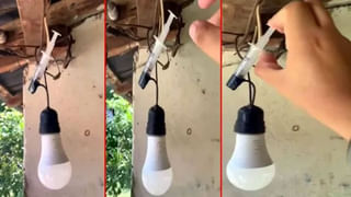 Viral Video: పీవీ ఎక్స్‌ప్రెస్‌ హైవేపై నుంచి దూకిన తాగుబోతు… మధ్యలో వైరు తట్టుకోవడంతో.. చివరికి