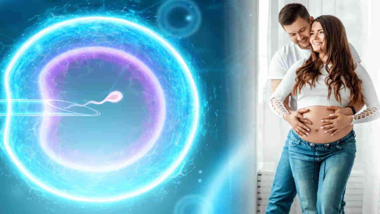IVF Treatment: ఐవీఎఫ్‌తో ఆ బెనిఫిట్స్ కూడా.. ఎగబడుతున్న కొత్త జంటలు.. దీన్ని ఇలా కూడా వాడుకుంటున్నారా..