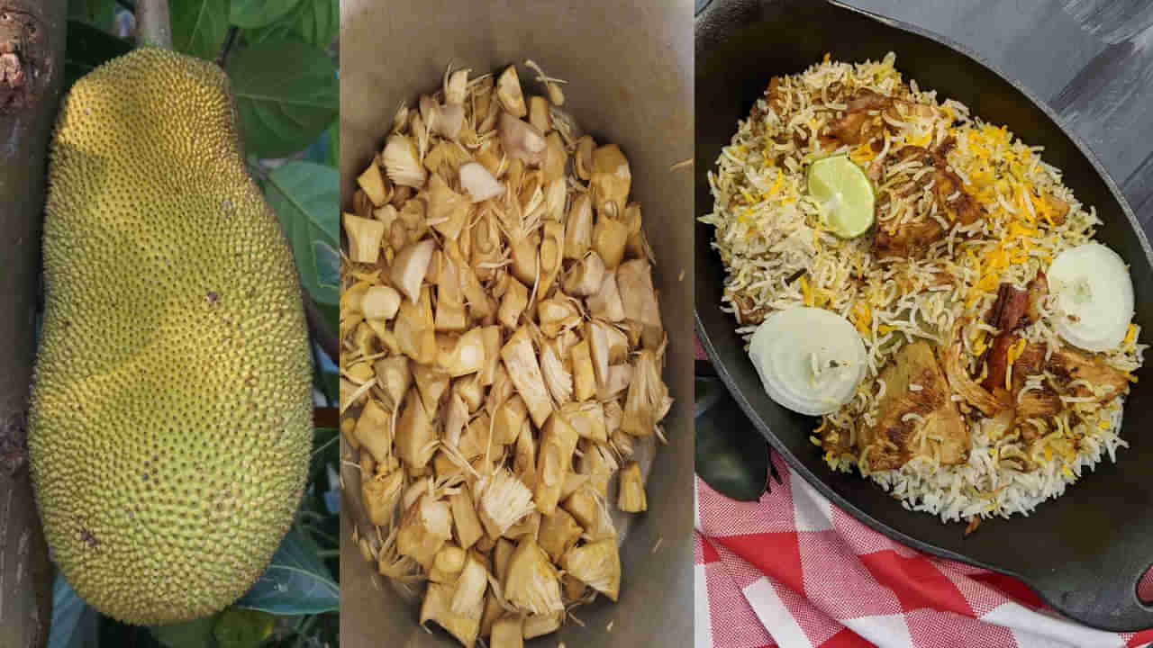 Jackfruit Biryani: కోనసీమ స్పెషల్ పనసకాయ బిర్యానీని ఇలా తయారు చేసుకోండి.. టేస్ట్ అదుర్స్ అంటారు అంతే..
