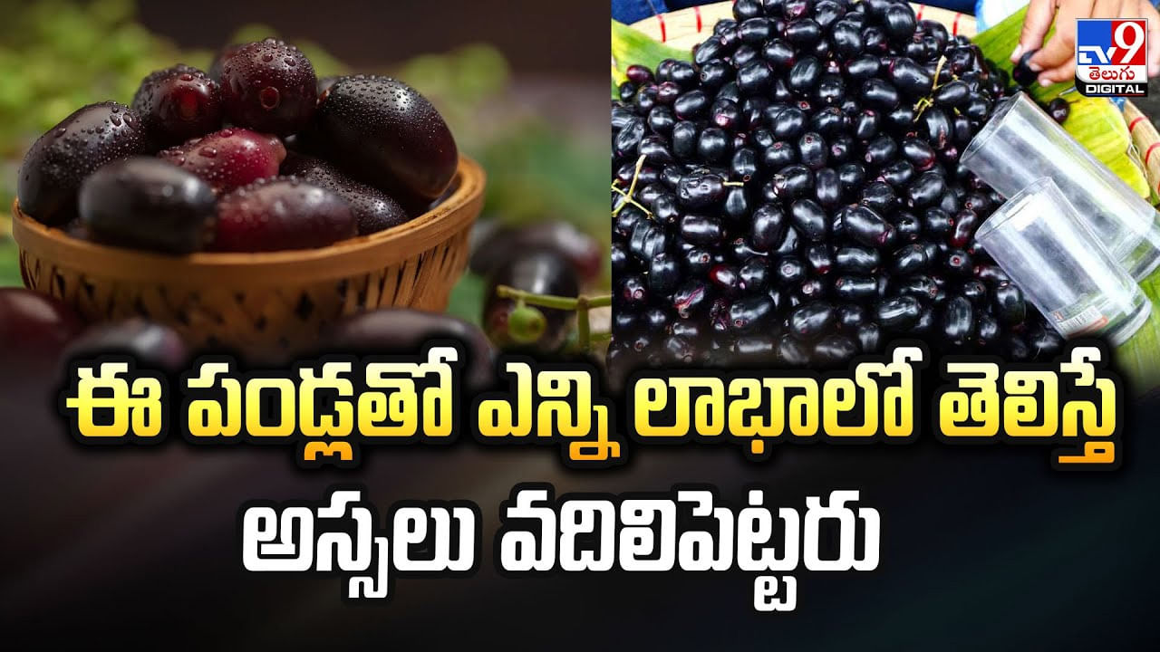 ఈ పండ్లతో ఎన్ని లాభాలో తెలిస్తే అస్సలు వదిలిపెట్టరు