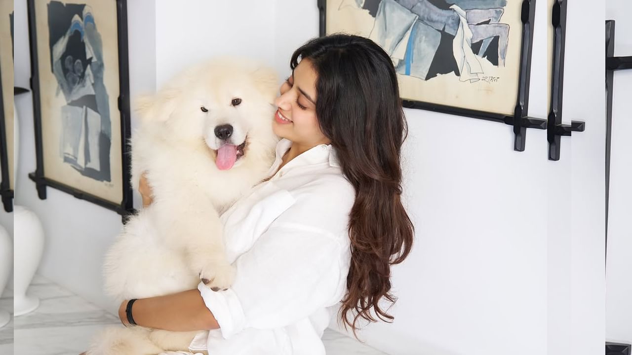 బాలీవుడ్ సక్సెస్ ఫుల్ హీరోయిన్స్ లలో ఈ అమ్మడు కూడా ఒకరుగా రాణిస్తూనే, టాలీవుడ్ వైపు కూడా ఫొకస్ పెట్టింది ఈ చిన్నది. ఇటీవలన కొరటాల శివ దర్శకత్వంలో జూనియర్ ఎన్టీ ఆర్ హీరోగా వచ్చిన దేవర మూవీతో తెలుగు చిత్రపరిశ్రమలోకి అడుగు పెట్టి మొదటి సినిమాతోనే తన గ్లామర్ తో కుర్రకారును ఆకట్టుకుంది.