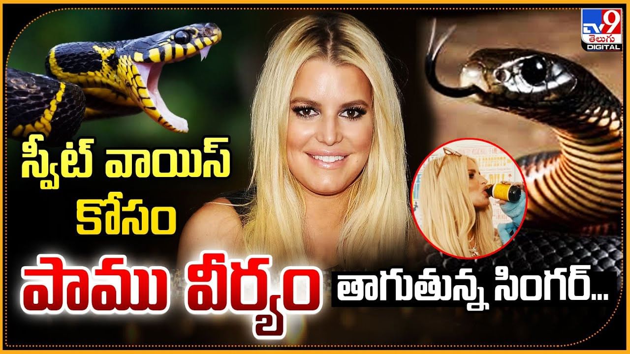 స్వీట్ వాయిస్ కోసం పాము వీర్యం తాగుతున్న సింగర్‌...