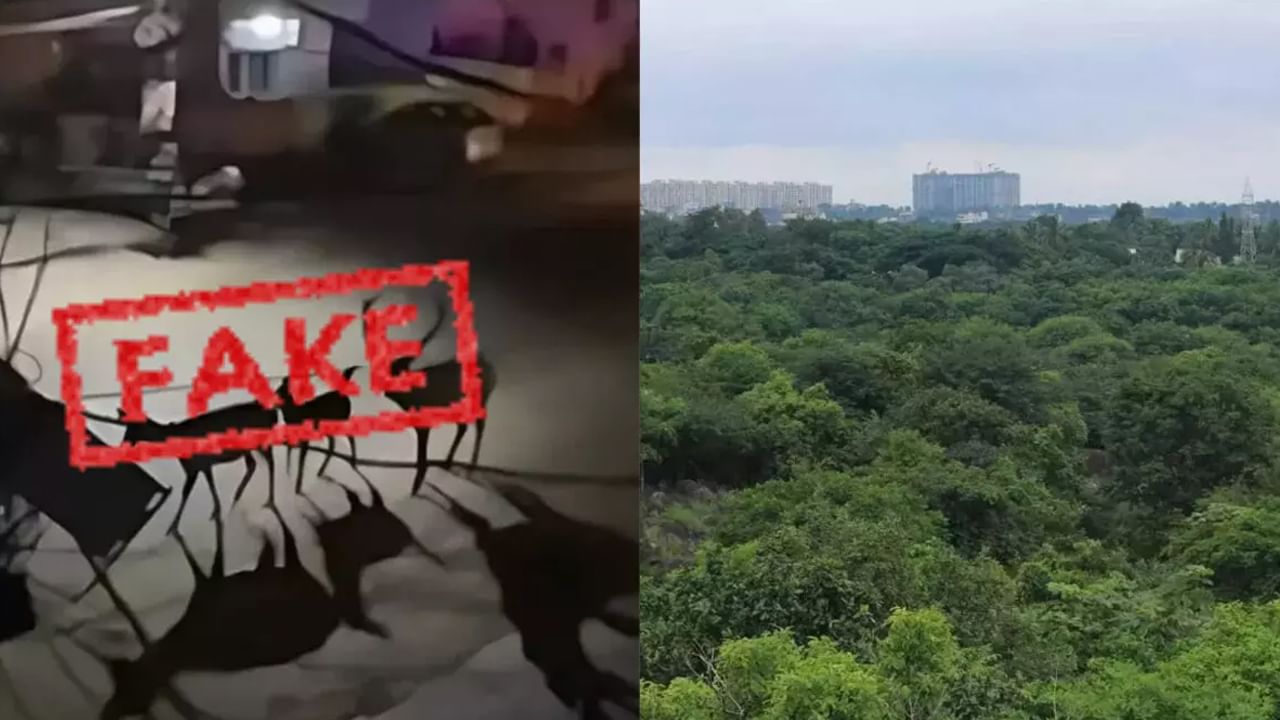Hyderabad: కంచ గచ్చిబౌలి భూముల విషయంలో ఫేక్ పోస్టులపై ప్రభుత్వం కఠిన చర్యలు 