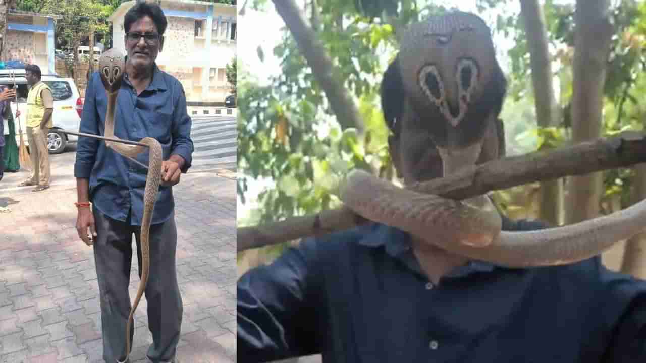 Watch Video: తిరుమలలోని వీఐపీ కాటేజీలో దర్శనమిచ్చిన అనుకోని అతిథి.. పరుగులు తీసిన భక్తులు.. చివరకు