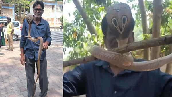 Watch Video: తిరుమలలోని వీఐపీ కాటేజీలో దర్శనమిచ్చిన అనుకోని అతిథి.. పరుగులు తీసిన భక్తులు.. చివరకు