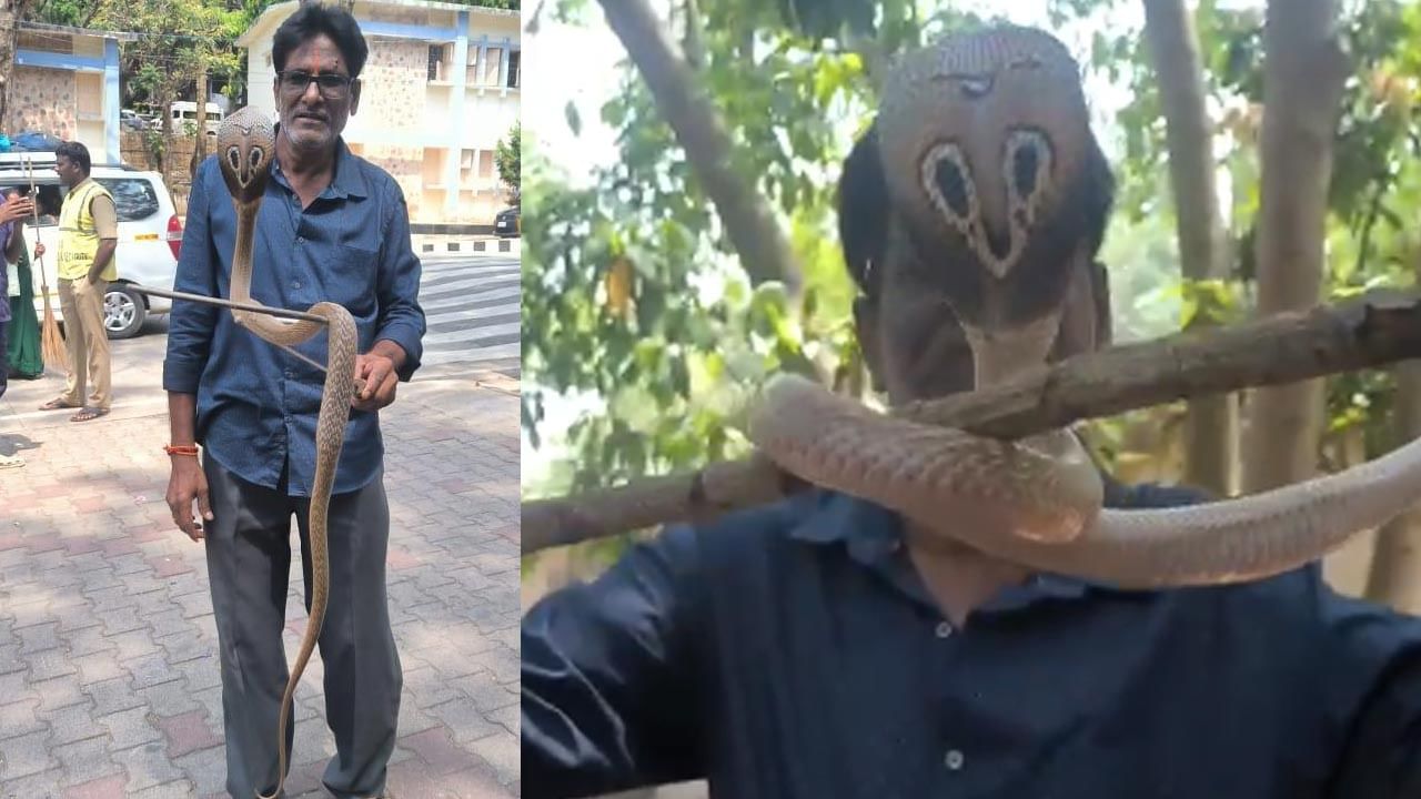 Watch Video: తిరుమలలోని వీఐపీ కాటేజీలో దర్శనమిచ్చిన అనుకోని అతిథి.. పరుగులు తీసిన భక్తులు.. చివరకు