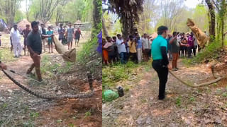 సీఎం చంద్రబాబు పుట్టిన రోజు సందర్భంగా టీటీడీ అన్నప్రసాదానికి భారీ విరాళం