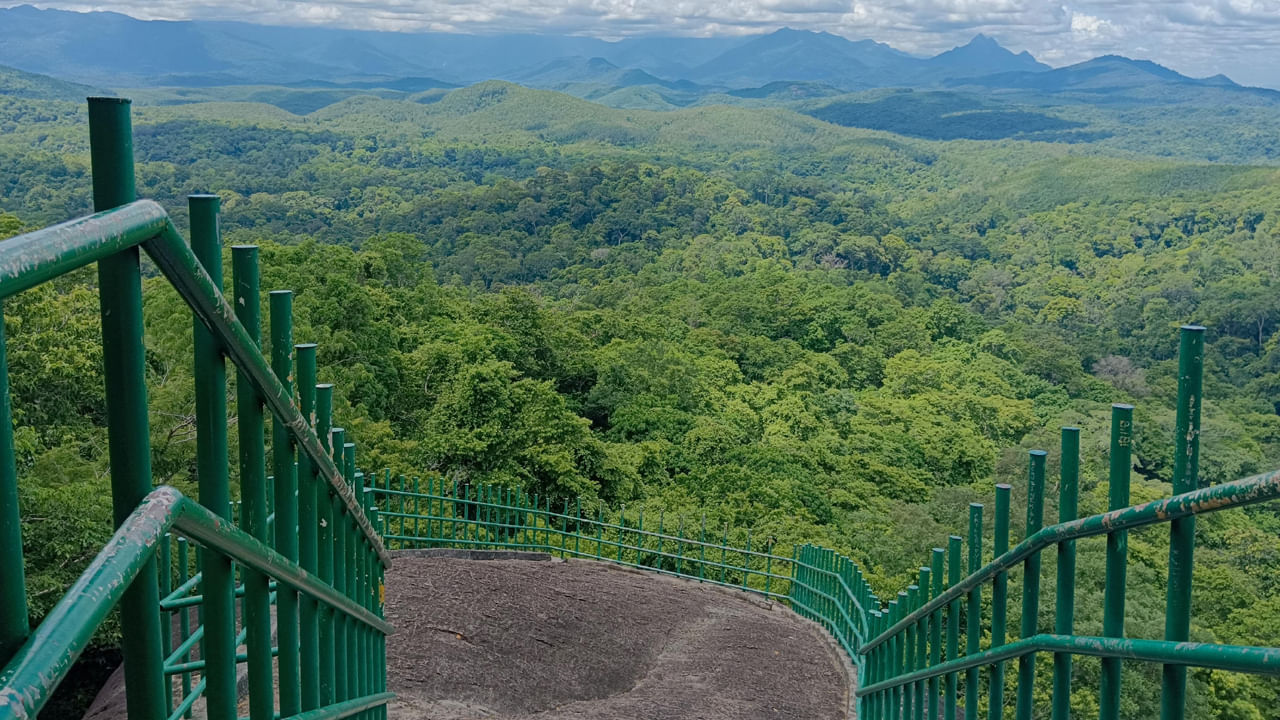 కులతుపుళ రిజర్వ్ ఫారెస్ట్ తిరువనంతపురం నుంచి 60 కిలోమీటర్ల దూరంలో ఉంది. ఈ అడవిలో పులులు, గార్డు (భారతీయ బైసన్), వివిధ సరీసృపాల జాతుల ఉనికికి సంబంధించిన అసాధారణ ఔషధ మొక్కలు చెట్లు ఉన్నాయి. ఈ ప్రాంతం ప్రకృతి ప్రేమికులను ఎంతగానో ఆకర్షిస్తుంది. ఈ ప్రదేశం చాల తక్కువ మందికి మాత్రమే తెలుసు.