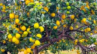 కూతుర్ని ఇంటి నుంచి గెంటేసి.. గుణపాఠం నేర్పిన కన్న తండ్రి! అందరూ తెలుసుకోవాల్సిన స్టోరీ