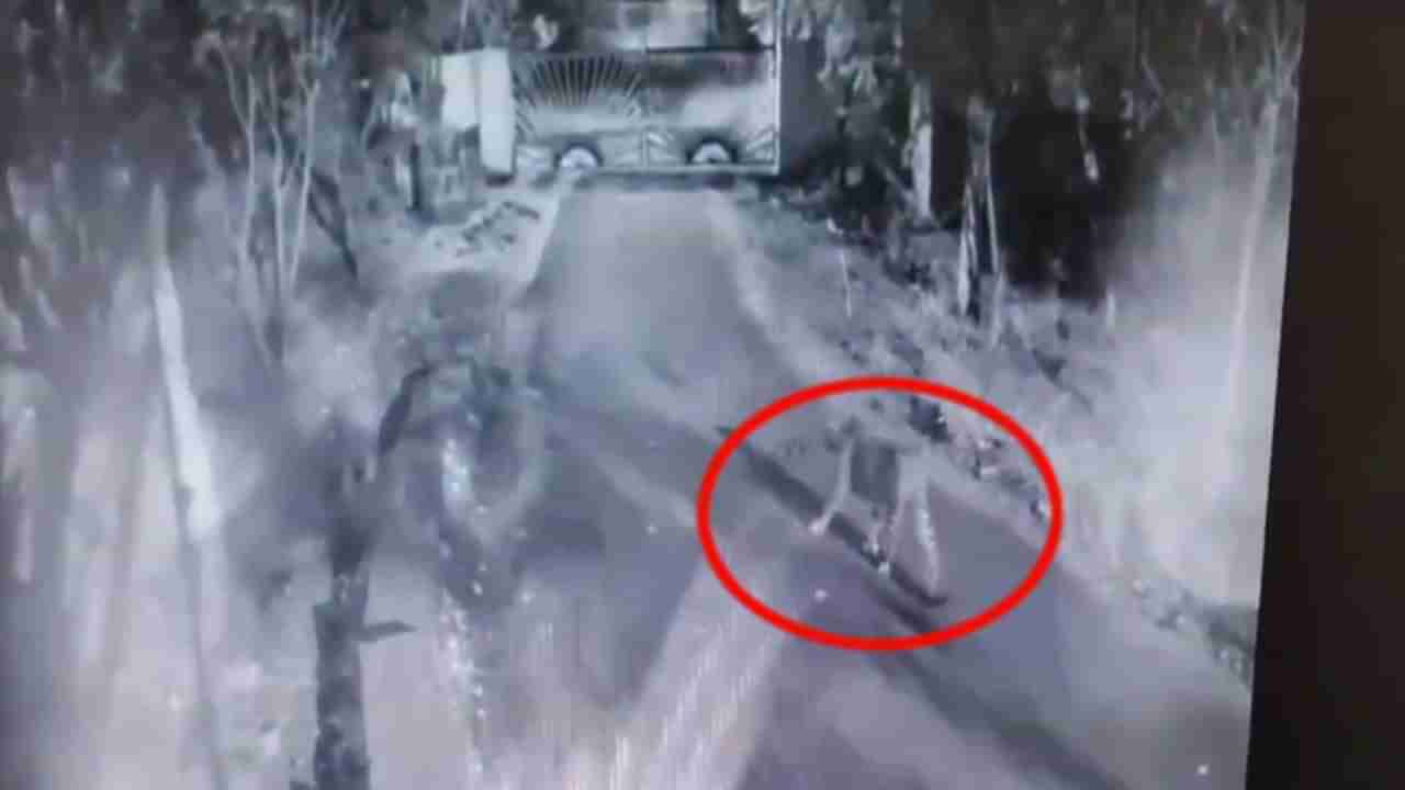 అమ్మ బాబోయ్.. శ్రీశైల మహాక్షేత్రంలో రెండు చిరుత పులుల కలకలం..!