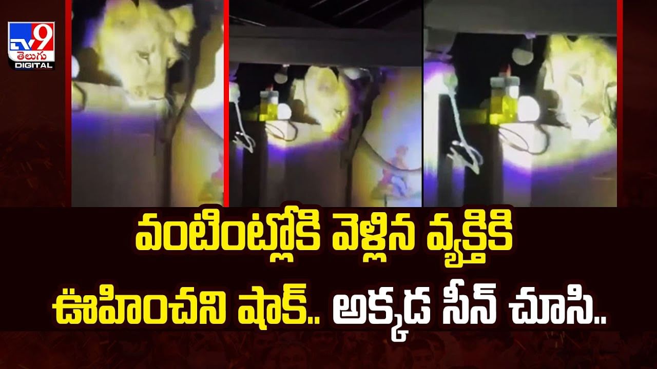వంటింట్లోకి వెళ్లిన వ్యక్తికి ఊహించని షాక్‌.. అక్కడ సీన్‌ చూసి..