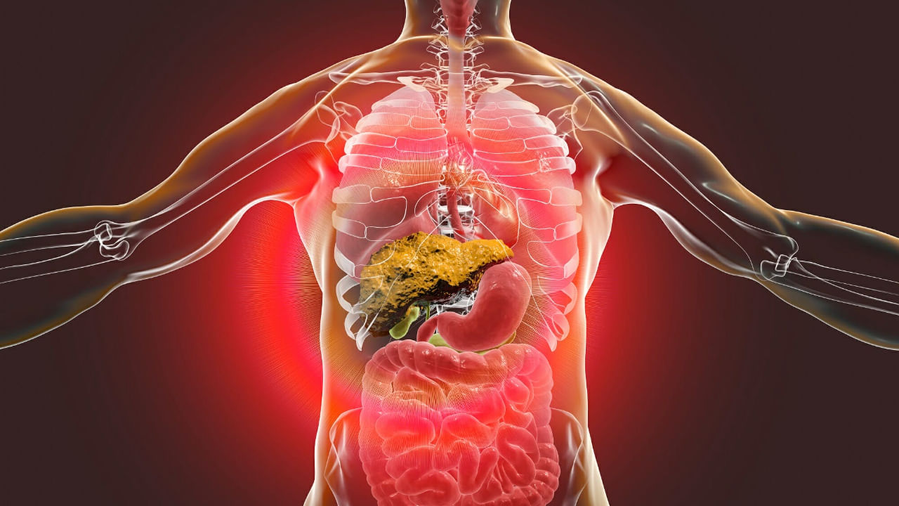 Liver Health: గుర్తించేలోపే ప్రాణాలు తీసే వ్యాధి.. మందు, సిగరెట్ అలవాటున్నవారు ఈ లక్షణాలను నిర్లక్ష్యం చేయకండి