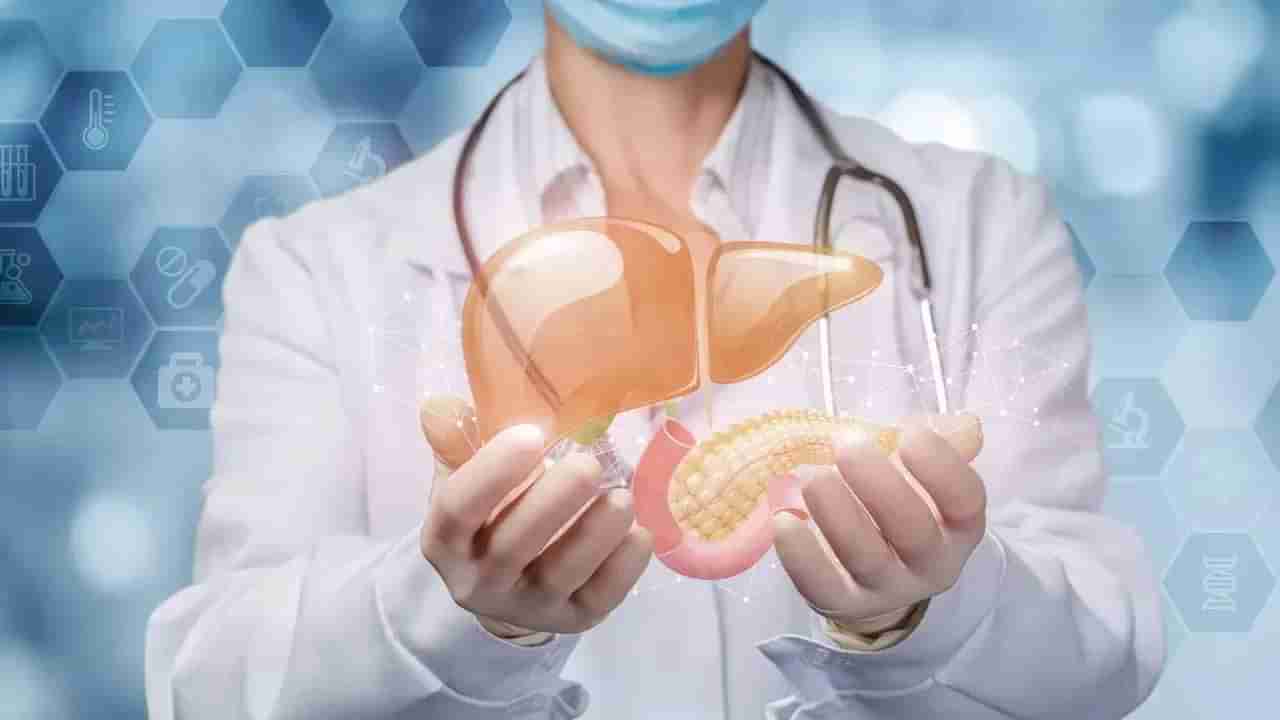 Liver Health: ఈ తప్పులు చేస్తున్నారా..? ఇక మీ లివర్ షెడ్డుకేనట.. ఇలా చేస్తే ఆ వ్యాధికి చెక్ పెట్టినట్టే..