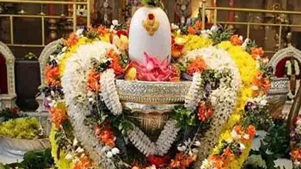 Shiva Puja Tips: శివ పురాణం ప్రకారం శివయ్య పూజలో ఈ వస్తువులు నిషేధం.. ఎందుకంటే..
