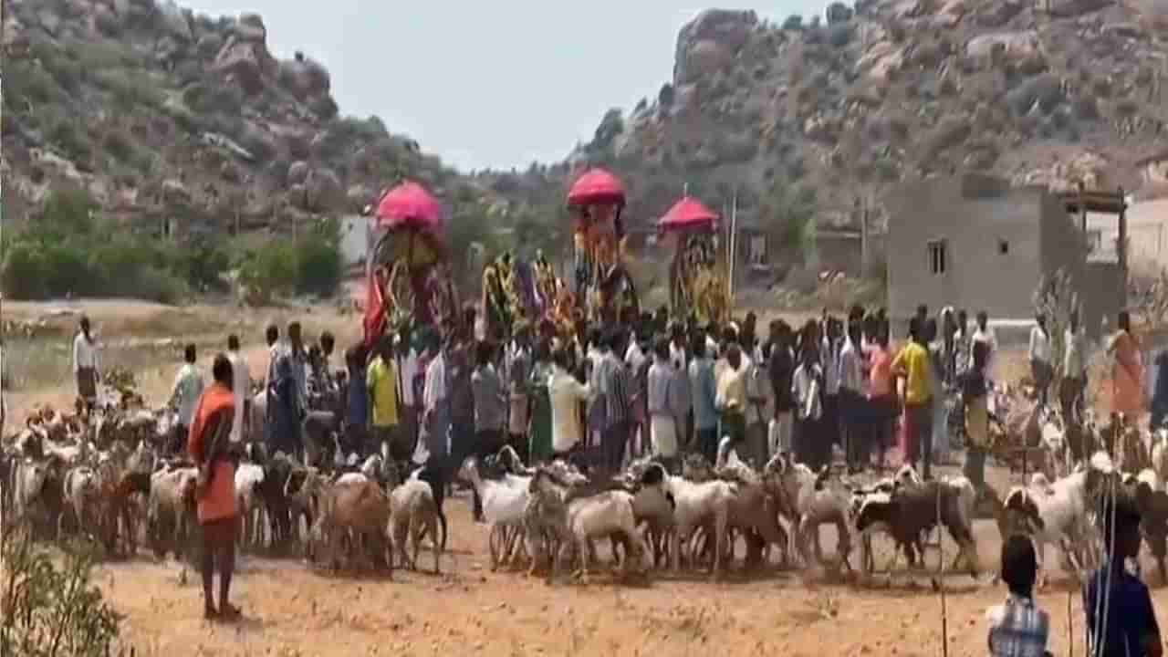 మడకశిరలో వింత ఆచారం.. అమ్మవారి విగ్రహాల చుట్టూ గొర్రెల ప్రదక్షిణ..!