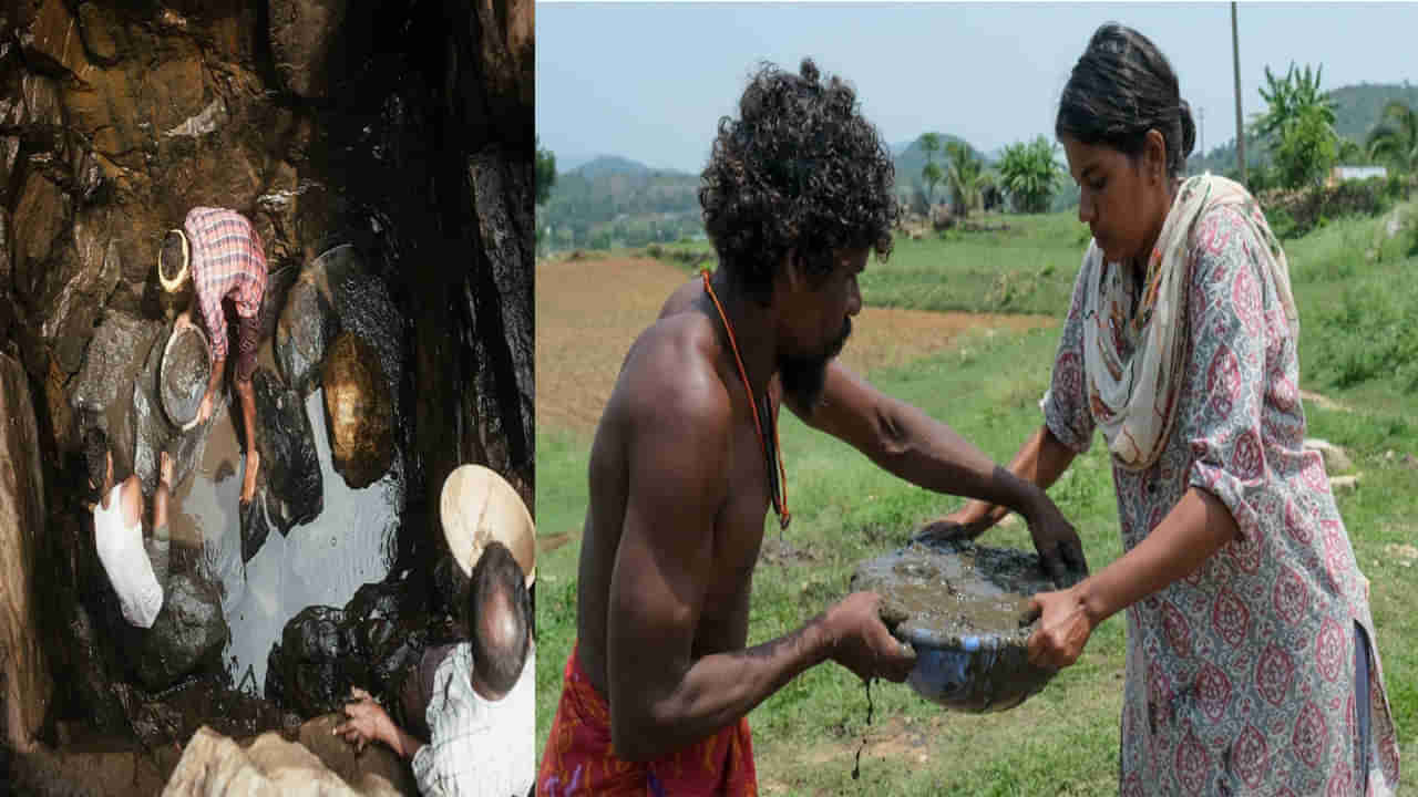 Madhu Manjari Selvaraj : ఒక్క అడుగు..15 బావులకు జీవం పోసింది..ఆమె సేవను ప్రకృతే మెచ్చింది..ఇంతకు ఎవరామే!