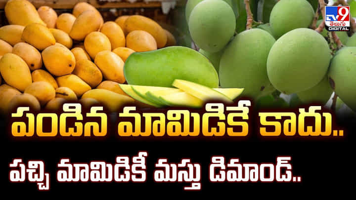 పండిన మామిడికే కాదు.. పచ్చి మామిడికీ మస్తు డిమాండ్.. పండిన మామిడికే కాదు.. పచ్చి మామిడికీ మస్తు డిమాండ్..