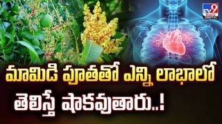 మామిడి పూతతో ఎన్ని లాభాలో తెలిస్తే షాకవుతారు..వీడియో