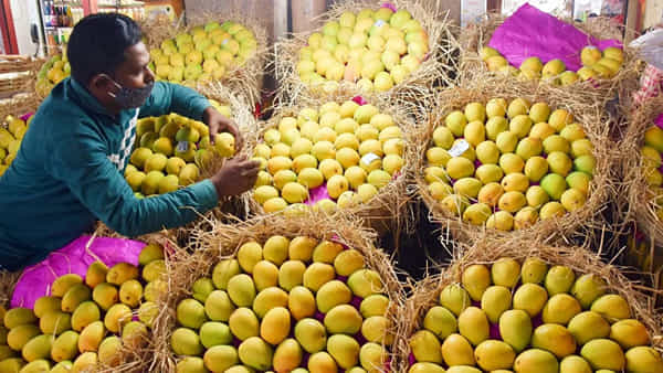 Mangoes: రంగు చూసి మోసపోకండి.. రసాయనాలు వాడని మామిడి పండ్లకు ఇవే బండగుర్తులు..