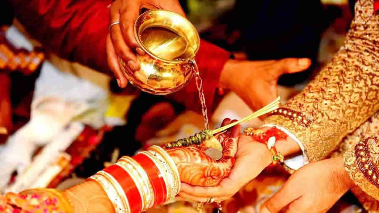 100 Civet Cats: పెళ్లి కూతురికి కట్నంగా 100 పునుగు పిల్లులు ఇచ్చిన తండ్రి..! అసలు విషయం ఏంటో తెలిస్తే..