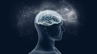 Watermelon: పుచ్చకాయ తినేటప్పుడు పొరబాటున విత్తనం మింగేశారా? కడుపులో ఏం జరుగుతుందో తెలిస్తే..