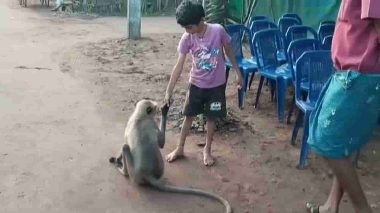 Unique Friendship: ఊరందరికి స్నేహితుడుగా మారిన కొండముచ్చు..అంజి అనిపిలిస్తే ఎక్కడ వున్నా వచ్చేస్తుంది