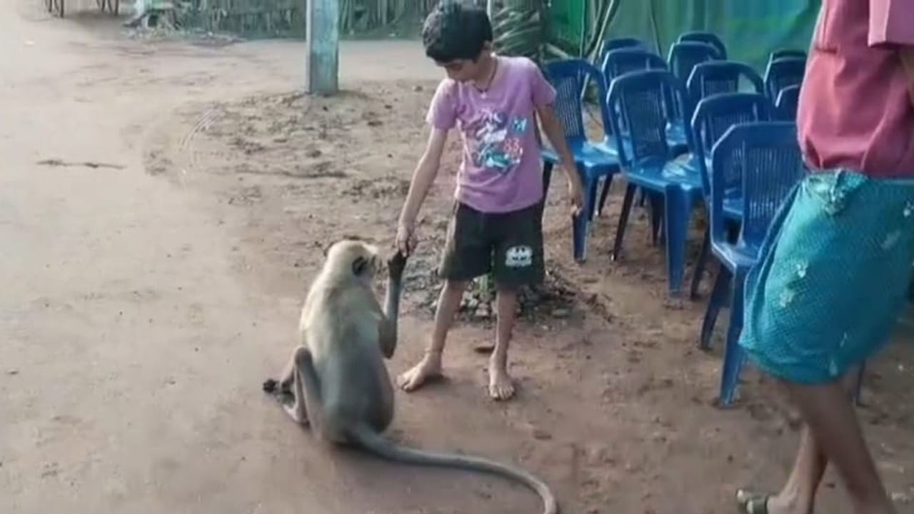 Unique Friendship: ఊరందరికి స్నేహితుడుగా మారిన కొండముచ్చు..అంజి అనిపిలిస్తే ఎక్కడ వున్నా వచ్చేస్తుంది