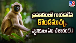 ఆకలి మీదున్న పాము.. తేలును ఎలా మింగేసిందో చూడండి.. బాబోయ్