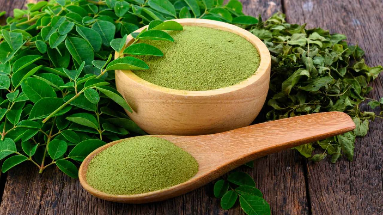Moringa Powder: మునగాకుతో ఆ లోపాన్ని సరిచేయొచ్చట.. దీన్ని ఎలా వాడాలో తెలుసుకోండి..
