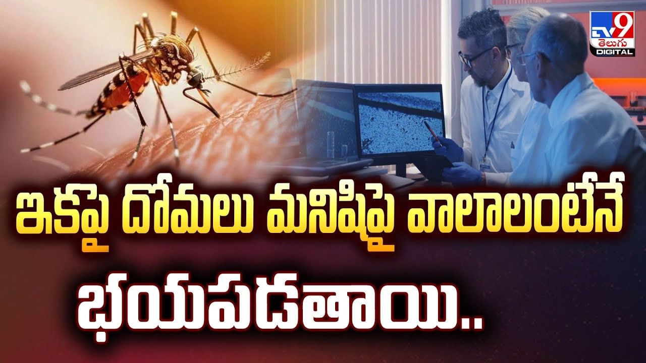 ఇకపై దోమలు మనిషిపై వాలాలంటేనే భయపడతాయి.. కారణాలు ఇవే