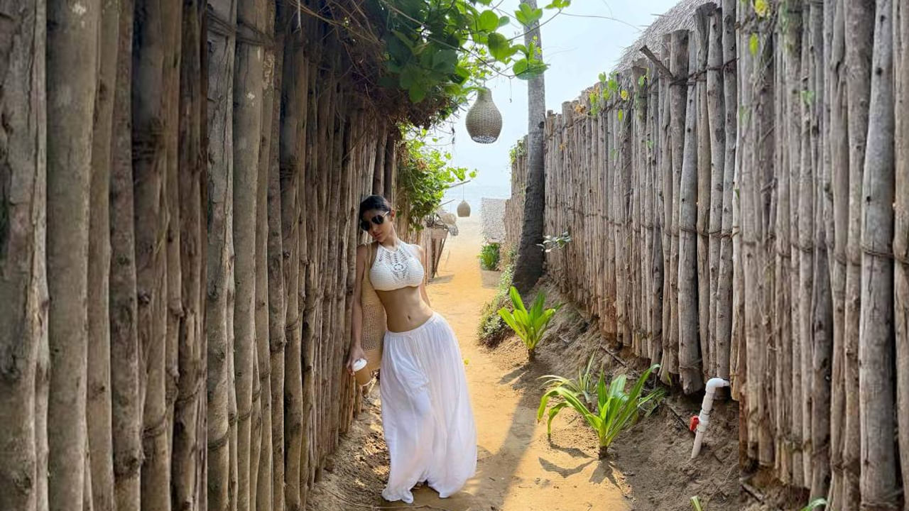 నాగిని సీరియల్ తో మంచి ఫేమ్ సంపాదించుకున్న ముద్దుగుమ్మ మౌనిరాయ్. ఈ అమ్మడు గురించి ఎంత చెప్పినా తక్కువే. తన అందం, అభినయంతో బాలీవుడ్ లోనే కాకుండా టాలీవుడ్ లో కూడా మంచి ఫ్యాన్ బేస్ సొంతం చేసుకుంది.