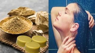 Summer Health Tips: వేసవిలో నెల రోజుల పాటు రోజూ సూర్య నమస్కారం చేయండి.. ఎన్ని ప్రయోజనాలో తెలిస్తే వావ్ అంటారు..