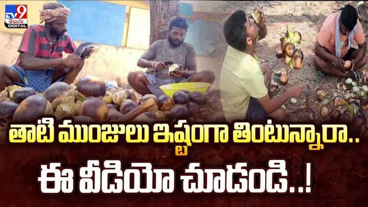 తాటి ముంజలు ఇష్టంగా తింటున్నారా? వీడియో తాటి ముంజలు ఇష్టంగా తింటున్నారా? వీడియో
