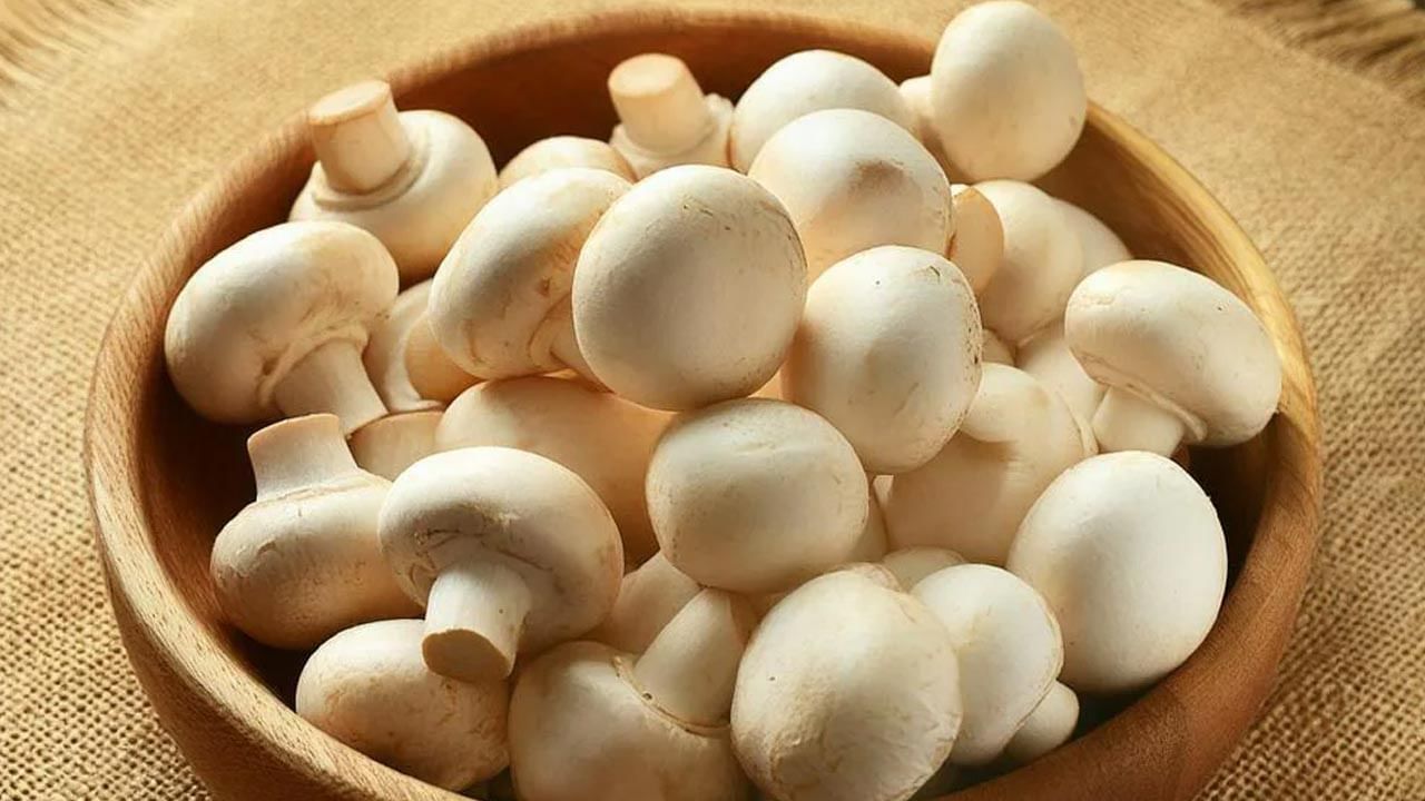 నోటికి రుచిగా ఉండాలే కానీ.. ఈ మధ్య కాలంలో చాలామంది ఏది పడితే అది, ఎలా పడితే అలా తినేస్తున్నారు. కొన్ని ఆహార పదార్థాలను ఎలా తినాలో అలానే తినాలి. ఇష్టమొచ్చినట్లు తింటామంటే తర్వాత చాలా ఇబ్బంది పడాల్సి వస్తుంది. ఎంతో జాగ్రత్తగా తినాల్సిన ఆహార పదార్థాలలో పుట్టగొడుగులు(మష్రూమ్‌) ఒకటి. పుట్టగొడుగులు సరిగ్గా తింటే ఎన్ని ఆరోగ్య ప్రయోజనాలు ఉన్నాయో.. సరిగ్గా తినకుంటే రివర్స్‌ అయి తీవ్ర అనారోగ్య సమస్యలు వస్తాయి. 