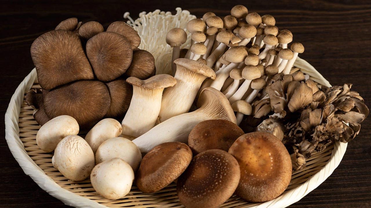 సరిగ్గా ఉడికించని షిటేక్ పుట్టగొడుగులను తింటే వీపు అంతటా దురదతో కూడిన దద్దుర్లు రావొచ్చు. ఆ దద్దుర్లు, కొరడాతో కొట్టినట్లుగా చారలుగా, ఎరుపు రంగులో కనిపిస్తాయి. ఇది లెంటినాన్ అనే కార్బోహైడ్రేట్‌కు అధికంగా వచ్చే తాపజనక ప్రతిచర్య వల్ల వస్తుంది. సాధారణంగా వంట సమయంలో అధిక ఉష్ణోగ్రతల వద్ద కార్బ్ విచ్ఛిన్నమవుతుంది, కానీ పచ్చి, ఉడికించని షిటేక్ పుట్టగొడుగులు సరిగ్గా ఉడకుండానే తింటే రక్కాలొచ్చేలా గోక్కోవాల్సి వస్తుంది. 