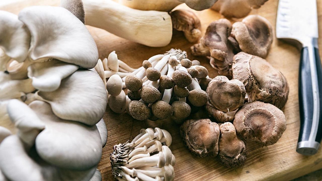 అయితే మంచిగా ఉడికించిన మష్రూమ్స్‌ కర్రీ తింటే అద్భుతమైన ఆరోగ్య ప్రయోజనాలు కూడా ఉన్నాయి. అవేంటో ఇప్పుడు చూద్దాం.. చలికి తట్టుకోలేని వారు మష్రూమ్స్‌ తింటే మంచి ఫలితం ఉంటుంది. పుట్టగొడుగులను తినడం వల్ల క్యాన్సర్, గుండె జబ్బులు, థైరాయిడ్ మొదలైన వాటి ప్రమాదాన్ని త