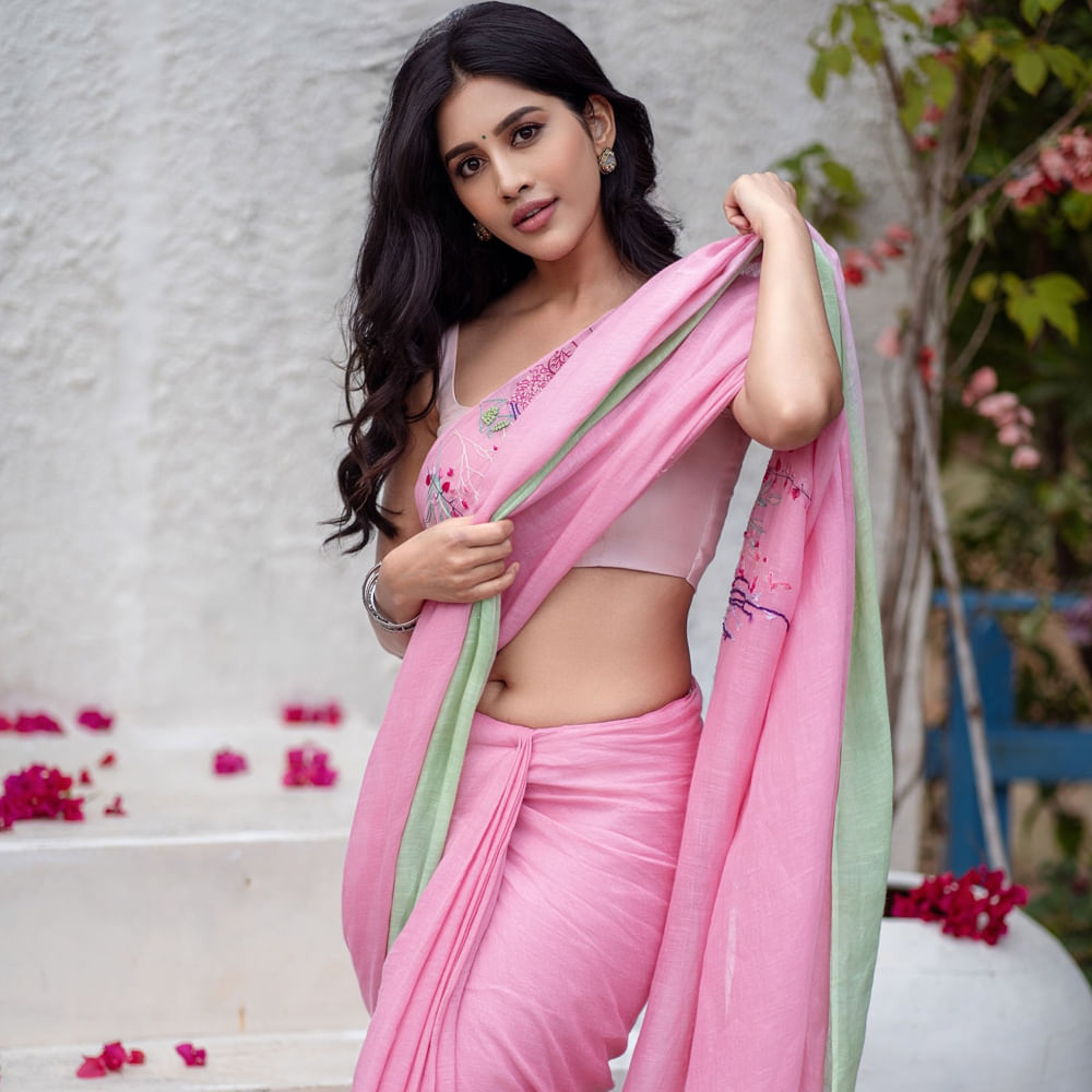 పూరి జగన్నాథ్ దర్శకత్వంలో ఇస్మార్ట్ శంకర్ సినిమా ఆఫర్ అందుకుంది. ఈ మూవీ భారీ విజయాన్ని అందుకున్నప్పటికీ ఆ తర్వాత మాత్రం వరుస ప్లాపులతో నెట్టుకొచ్చింది. కెరీర్ మంచి ఫాంలో ఉండగానే ప్రమాదానికి గురయ్యింది. 