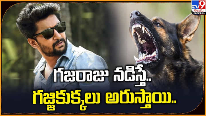 గజరాజు నడిస్తే.. గజ్జికుక్కలు అరుస్తాయి.. గజరాజు నడిస్తే.. గజ్జికుక్కలు అరుస్తాయి..
