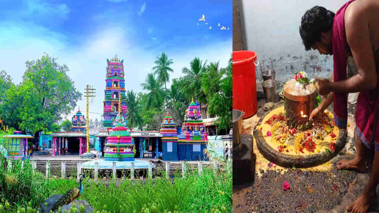 Lord Shiva Temple: ఏడాదిలో వైశాఖమాసంలోనే దర్శనం ఇచ్చే శివయ్య.. 11 నెలలు శివలింగాన్ని నీటిలో ఉంచకపోతే అగ్ని ప్రమాదాలు తప్పవా...