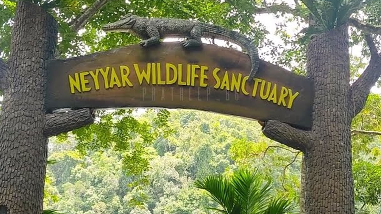 నెయ్యర్ వన్యప్రాణుల అభయారణ్యం తిరువనంతపురం నుంచి 30 కిలోమీటర్ల దూరంలో ఉంది. ఇది 128 చదరపు కిలోమీటర్లు విస్తీర్ణంలో ఉంది. ఇది వివిధ జాతుల మొక్కలు, జంతువులకు ఆశ్రయం కల్పిస్తుంది. 2016లో యునెస్కో అగస్త్యమల బయోస్పియర్ రిజర్వ్‌గా హోదాను పొందింది. ఈ పార్క్ జీప్ సఫారీలు, పచ్చని సతత హరిత అడవుల ద్వారా గైడెడ్ హైకింగ్ రెండింటినీ అందిస్తుంది. ఇది సందర్శకులకు ఏనుగులతో పాటు స్లోత్ ఎలుగుబంట్లు, సాంబార్ జింకలు, మొరిగే జింక జాతులను చూసే అవకాశాన్ని ఇస్తుంది. మొసళ్ళు, తాబేళ్లు నెయ్యర్ ఆనకట్ట జలాశయంలో నివసిస్తాయి. కాబట్టి ప్రజలు ఈ ప్రదేశాన్ని సందర్శించాలి. 