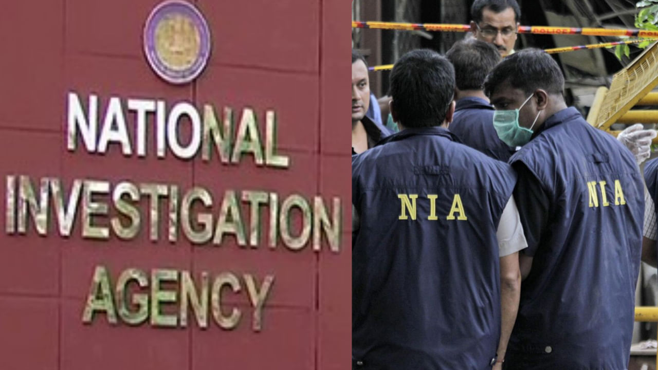 Nia 5