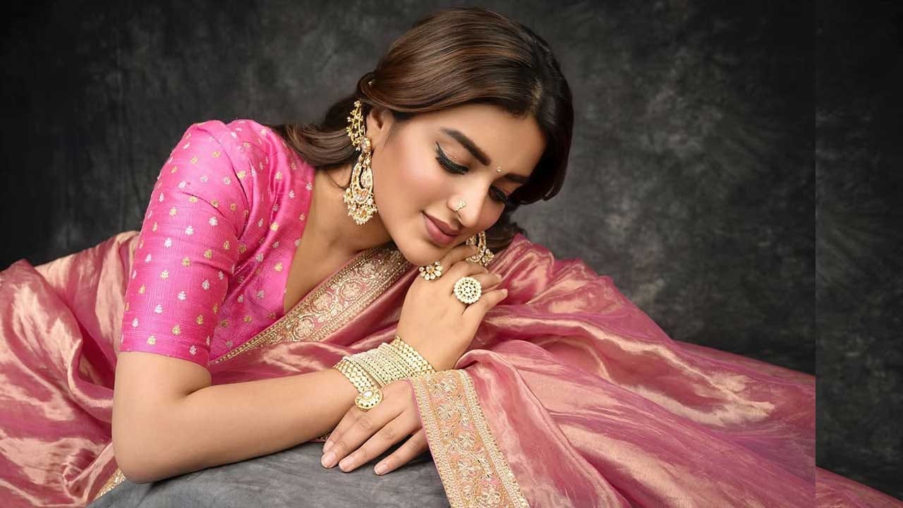 2017 లో మున్నా మైఖేల్ అనే హిందీ సినిమాతో నటిగా ఇండస్ట్రీలోకి ఎంట్రీ ఇచ్చిన ఈ బ్యూటీ. తర్వాత అక్కినేని నాగచైతన్య నటించిన సవ్వసాచి అనే సినిమాతో టాలీవుడ్ లోకి ఎంట్రీ ఇచ్చింది.ఈ సినిమాలో నటించినప్పటికీ ఈ అమ్మడుకు అంతగా గుర్తింపు రాలేదు అనే చెప్పాలి.